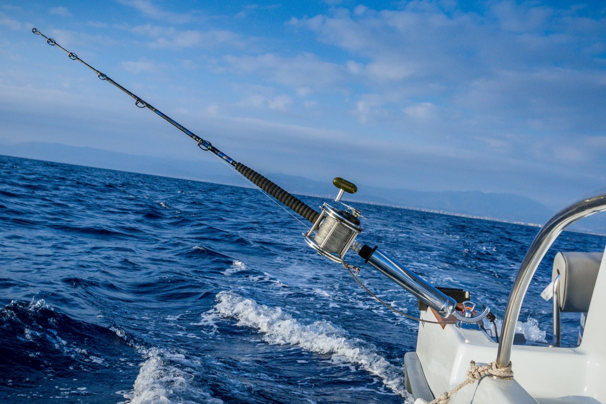 हेवी-ड्यूटी बेस 360-डिग्री समायोज्य रॉड धारक